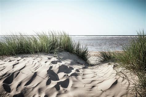 Grassy Sand Dunes On Beach Photograph By Dan Brownsword