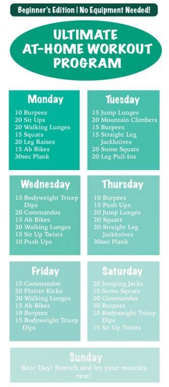 At Home Workout Without Equipment Beginner Workout At