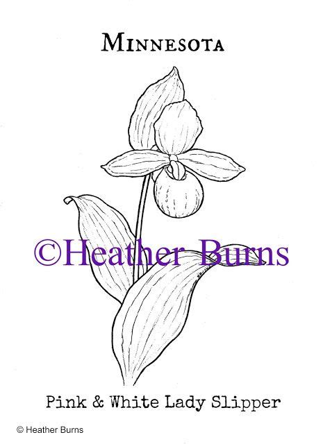 Soulmetalpodcast Coloring Pages Lady S Slipper