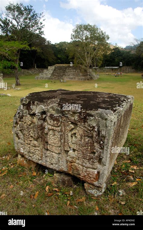 Central America Honduras Copan Aka Xukpi In Maya Great Plaza Of