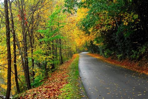 Except on the thanksgiving day, christmas day, and new year's day holidays. Watoga State Park - West Virginia State Parks - West ...