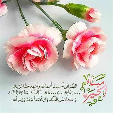 الحيوانات عيد الميلاد ورد طعام فاكهة عيد الرعب اوراق اشجار القمر طبيعة سجية سماء شمس خضروات قران. صور عن المساء مع دعاء جميل - عالم الصور