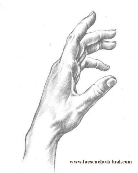 Aprende A Dibujar Manos De Adulto De Niño Tutorial Gratis Curso Online How To Draw Hands