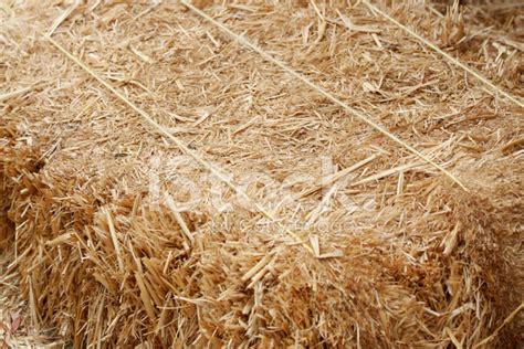 Bale Of Straw Stock Photo Royalty Free Freeimages