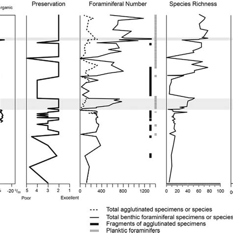 Preservation Abundance And Diversity Of Benthic Foraminiferal