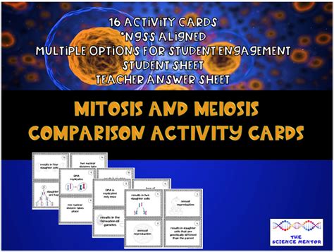 Mitosis And Meiosis Comparison Activity Cards The Science Mentor