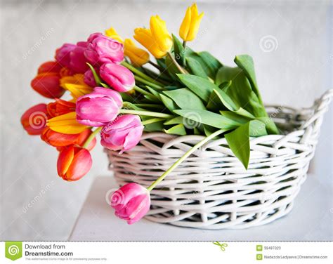 Tulipanes En La Cesta Imagen De Archivo Imagen De Planta 39487023