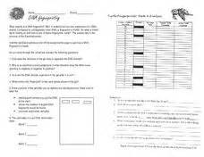 Probes used for dna fingerprinting 5. Dna Fingerprinting Worksheet Answer Key - Worksheet List