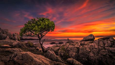 2560x1440 Beautiful Sunset In Horizon Ocean 1440p Resolution Wallpaper