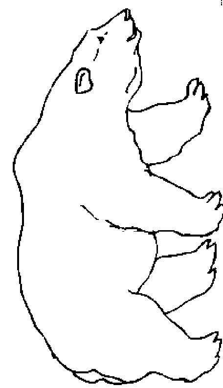 coloriage ours 31 - Coloriage en ligne gratuit pour enfant