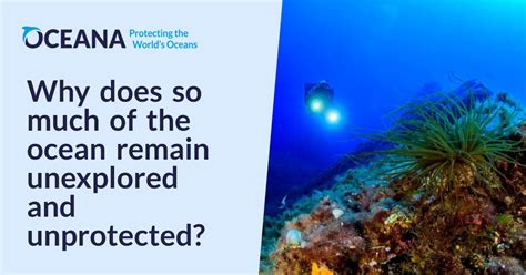 Why Does So Much Of The Ocean Remain Unexplored And Unprotected Oceana