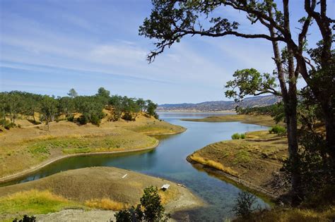 Check flight prices and hotel availability for your visit. Mamma Quail Hiking California : A Scorching Day at the ...