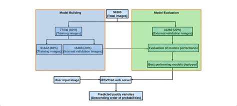 Flow Diagram Representing Dataset Preparation Model Building And