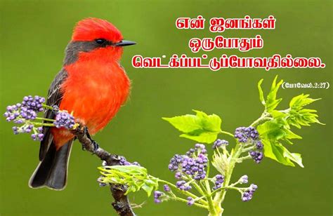 Tamil Bible Wallpapers Free Download