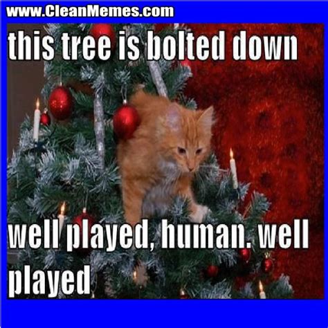 46 Best Images About Christmas Memes On Pinterest