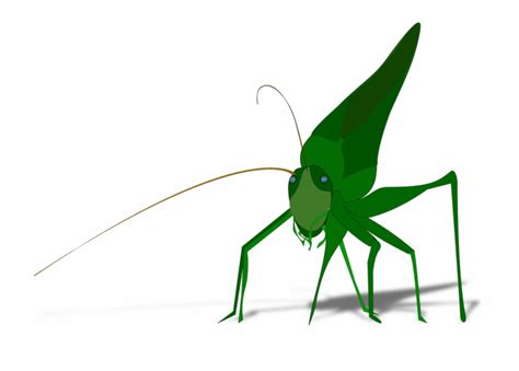 Cricket Bug Clipart 20 Free Cliparts Download Images On Clipground 2023