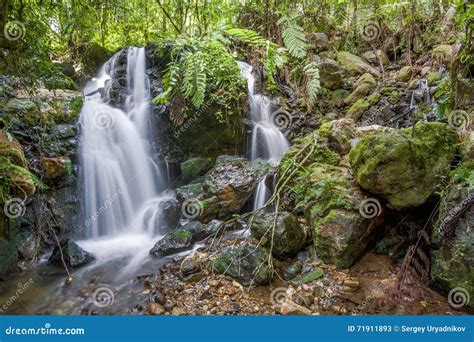 Small Waterfall In The Dark Forest Waterfalls And Vegetation Inside