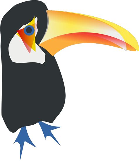 Toco Toucan Clipart Full Size Clipart 5651454 Pinclipart