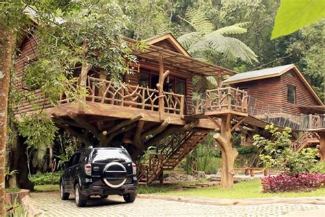keren  rumah pohon ala taman safari indonesia republika