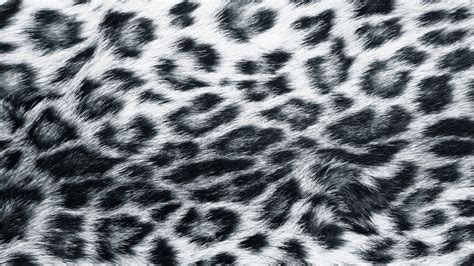Snow Leopard Fur Background