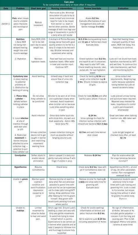 At the end of the trial, the authors state that there were reductions in uti among subjects, who either used antibacterial devices like the. Nursing Process Paper Example Foley / Nursing Process ...