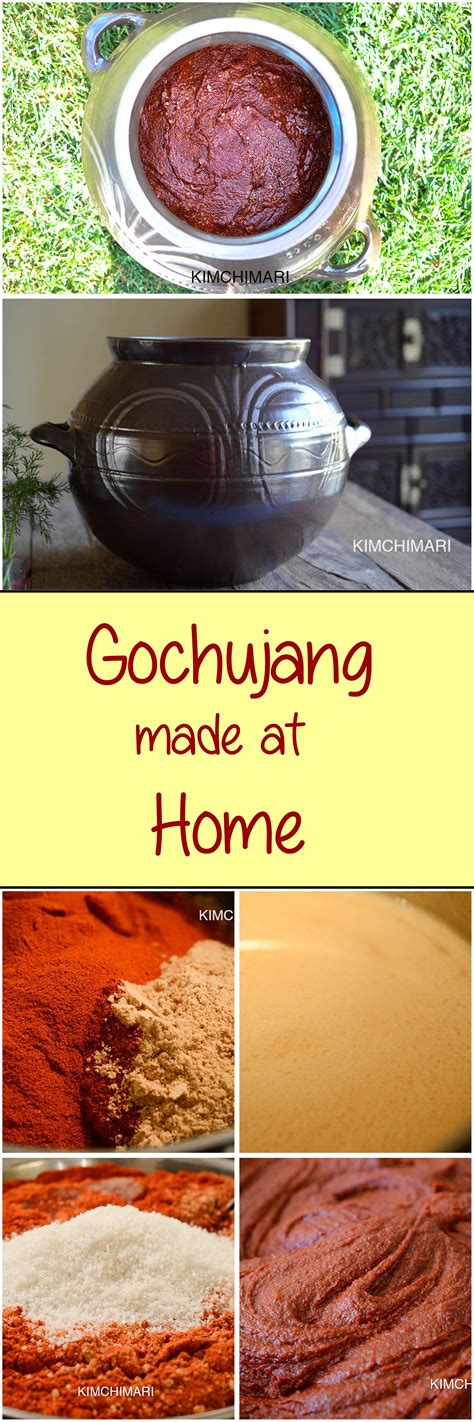 Article updated april 14, 2021. How to make Gochujang at home! | Recipe | Healthy dog food ...
