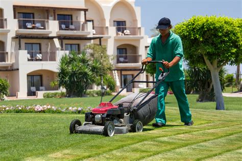 Basic Lawn Care Equipment For Your Landscaping Business Womens Conference