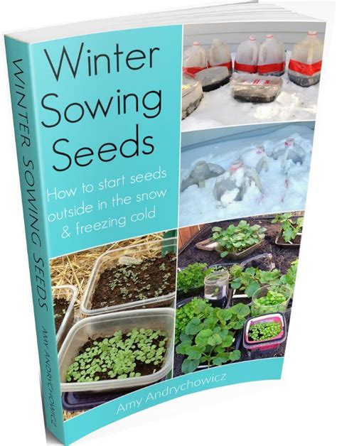 Yes You Can Start The Seeds For Your Summer Garden Outside During The