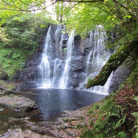 Glenariff Forest Park County Antrim 2023 What To Know Before You Go