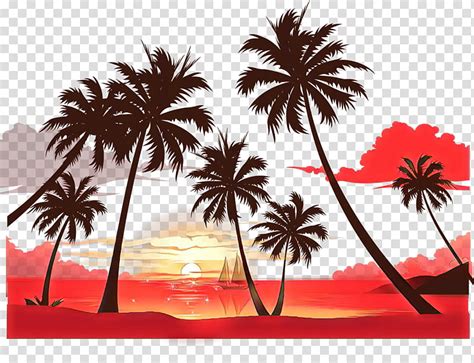 Summer Palm Tree Palm Trees Sunset Coconut Silhouette Sunrise