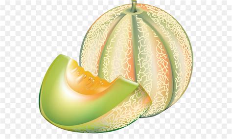 Melons Clip Art Library