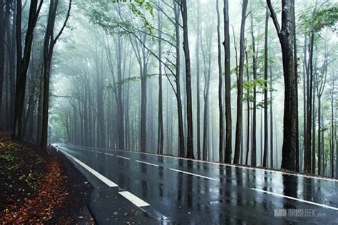 Beautiful Rain And Fog Road Scene Landscape Photography Nature Rainy
