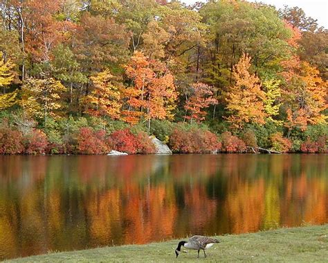 Sebago cabins, harriman, ny, harriman, ny. Lake Sebago, Harriman State Park, New York | Explore ...