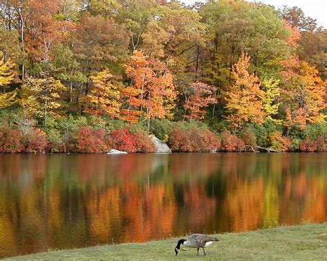 The beach has been closed since that time. Lake Sebago, Harriman State Park, New York | Explore ...