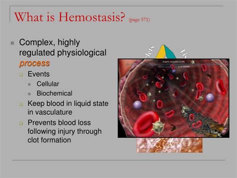 Ppt Overview Of Hemostasis Powerpoint Presentation Id88185