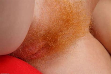 Close Up Hairy Redheads Pussy XXGASM