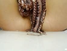 Octopus Tube Search Videos Page