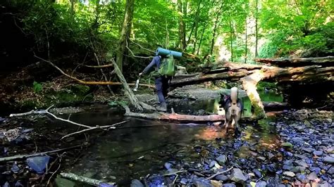 7 Days SURVIVAL Camping In RAIN Forest THUNDER Building Warm