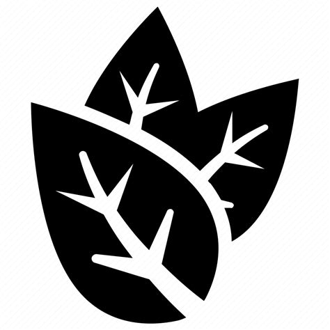 Divided leaf, green leaves, leaf logo, three leaves, tripartite leaf icon - Download on Iconfinder