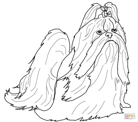 Shih - Free Colouring Pages