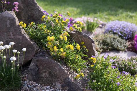 How To Build A Rockery Step By Step Guide Bbc Gardeners World Magazine
