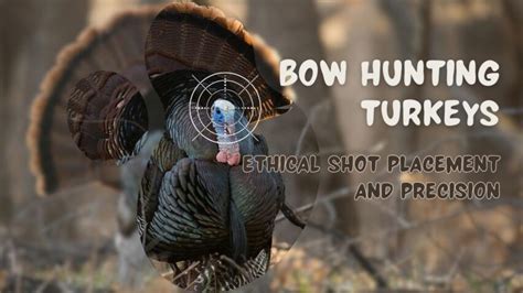 Ensuring Ethical Bow Shot Placement On Turkeys Precision And Compassion