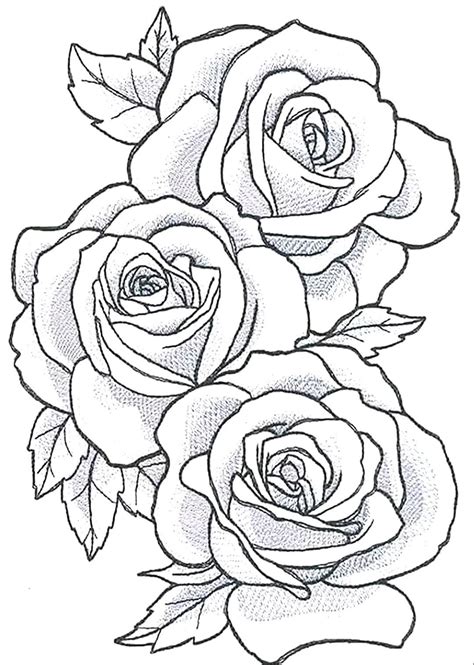 Rose Outline Drawing Artofit