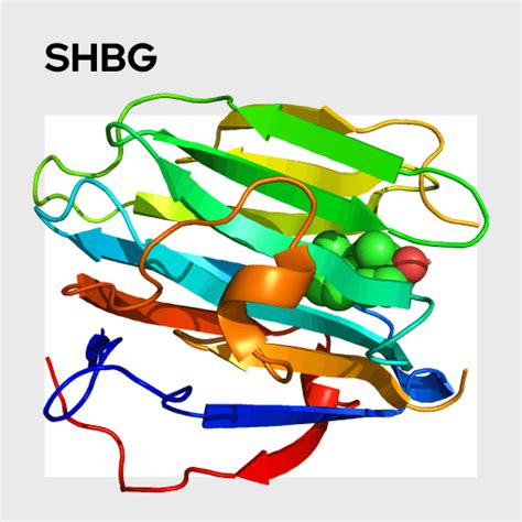 Sex Hormone Binding Globulin Shbg Tcu Eos Bioanalytics