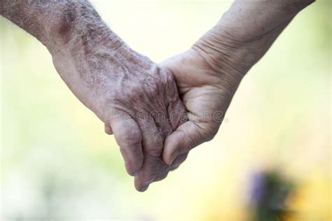 Holding Senior Hands Stock Image Image Of Mature Dementia 109867463