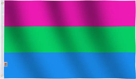 rhunt polysexual pride flag 3x5ft lgbtqia polysexuality gender rainbow banner