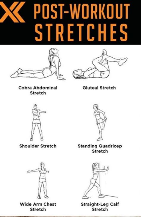 Post Workout Stretches Post Workout Stretches After Workout