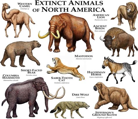Extinct Mammals Of North America Poster Print Etsy