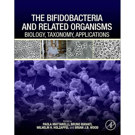 The Bifidobacteria And Related Organisms Biology Taxonomy