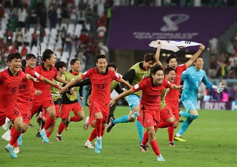 한국 축구 카타르 월드컵서 최종 16위일본은 9위 2022 카타르 월드컵 네이트 스포츠